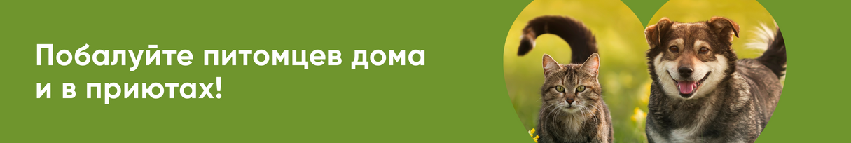 http://zoo.vprok.ru/promos/13584
