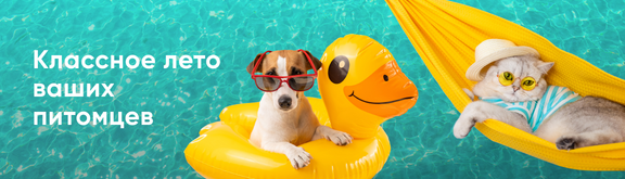http://zoo.vprok.ru/promos/12735