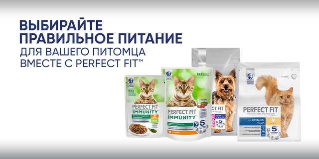 Правильное питание вместе с Perfect Fit