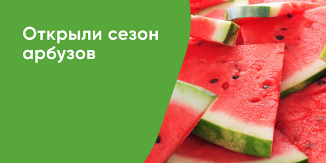 Сезон бахчевых
