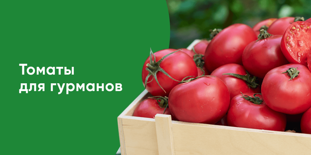 Грунтовые овощи