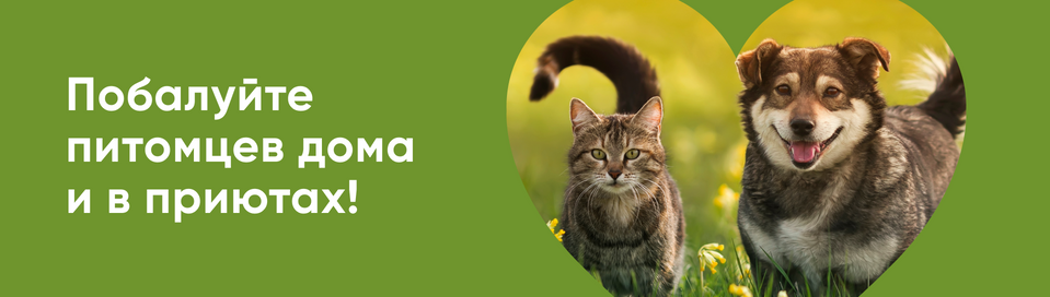 http://zoo.vprok.ru/promos/13584