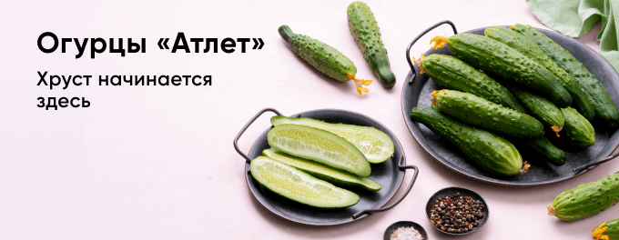 Огурцы Атлет