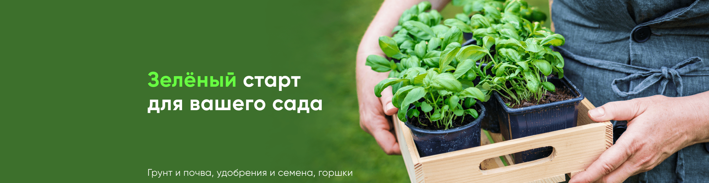 Рассада