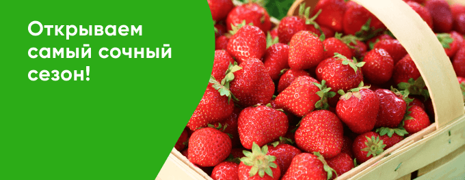 Сезонные овощи и фрукты