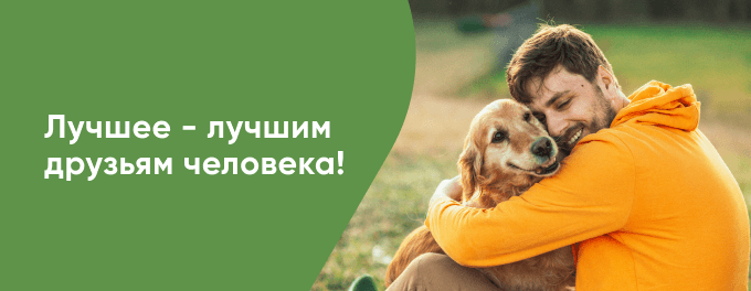 Лучшее - лучшим друзьям человека!