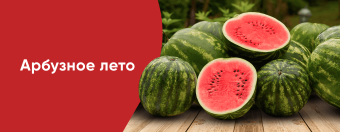 Сезонные овощи и фрукты
