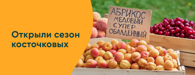 Фестиваль косточковых
