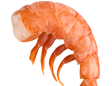 Морепродукты
