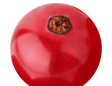 Смородина