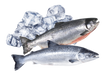 Рыба, икра 