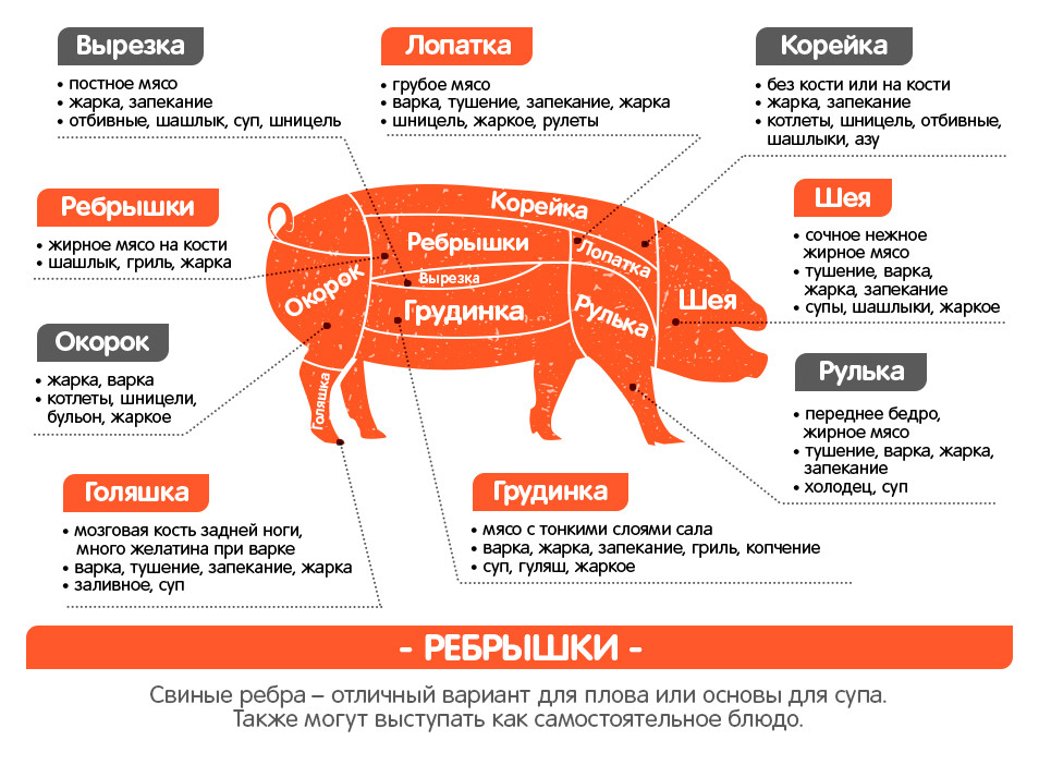 Части туши свиньи названия схема и описание и фото