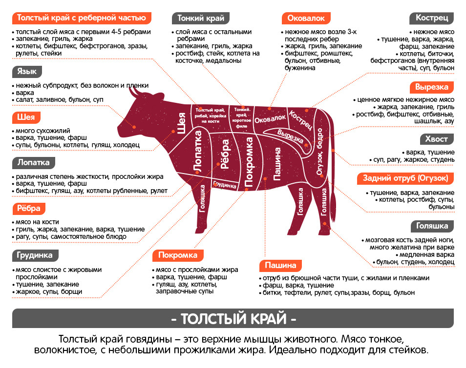 Толстый край говядины на схеме