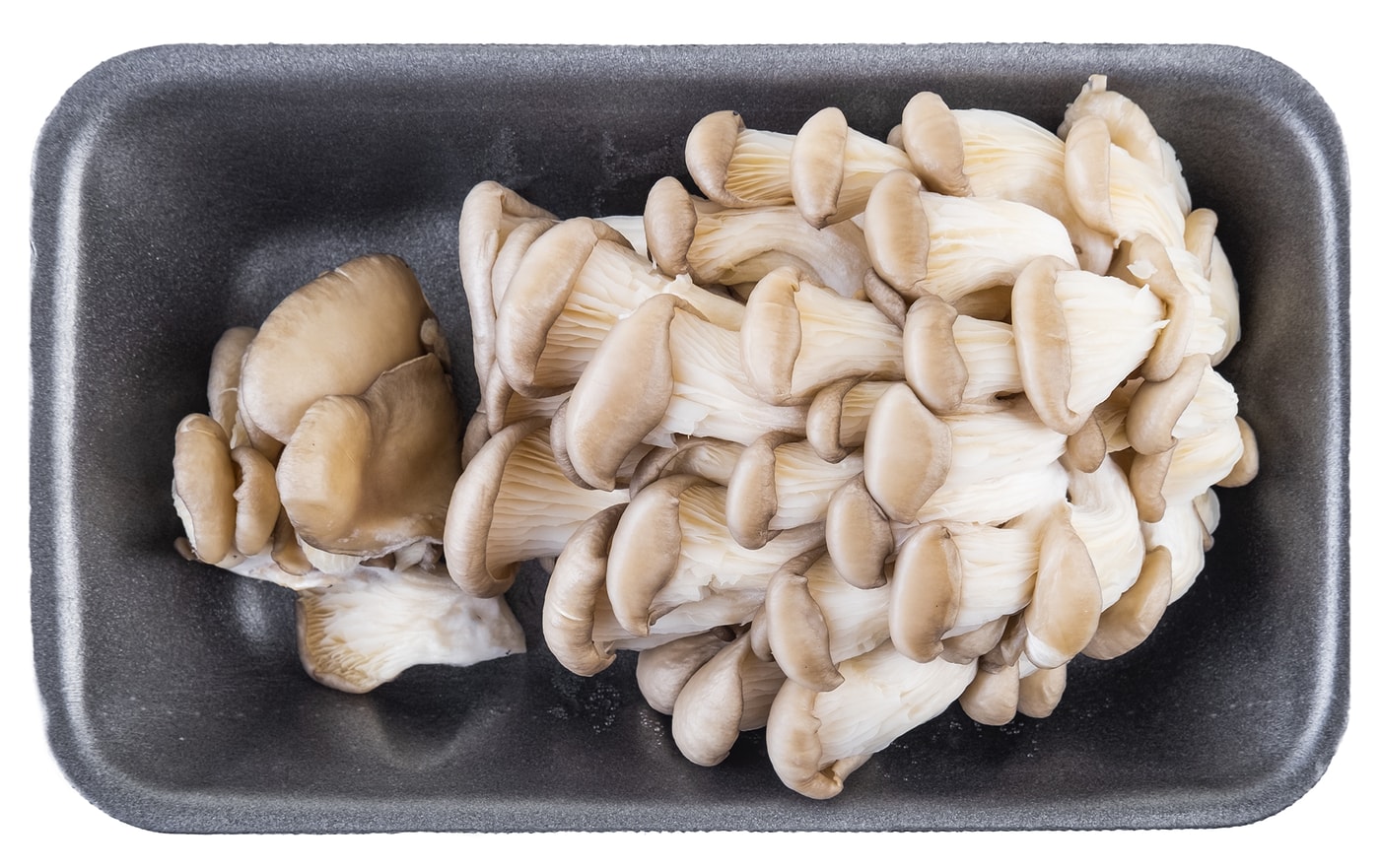 Изображение товара Свежие вешенки культивируемые 300г упаковка