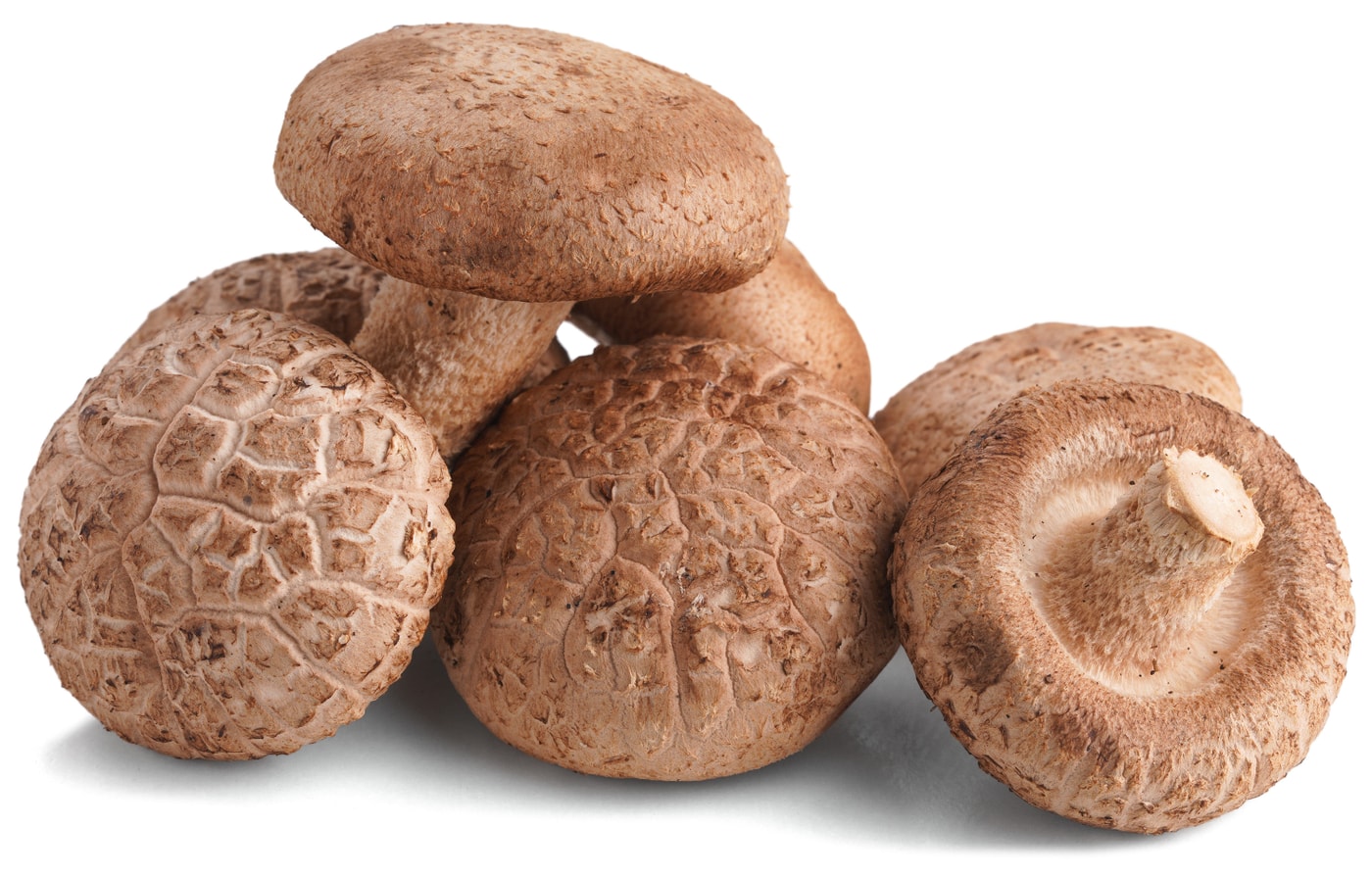 Изображение товара Грибы Шиитаке 150г - деликатесные азиатские грибы с чесночным ароматом