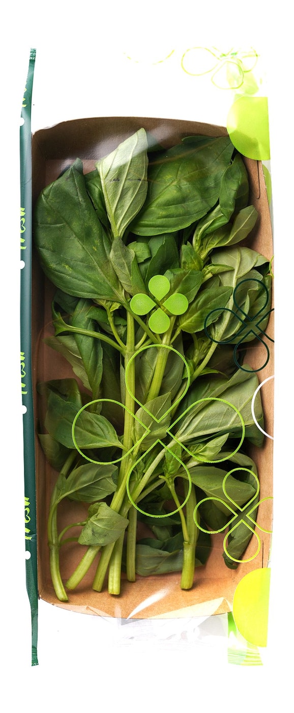 Изображение товара Базилик зеленый Маркет Fresh 30 г – свежая зелень