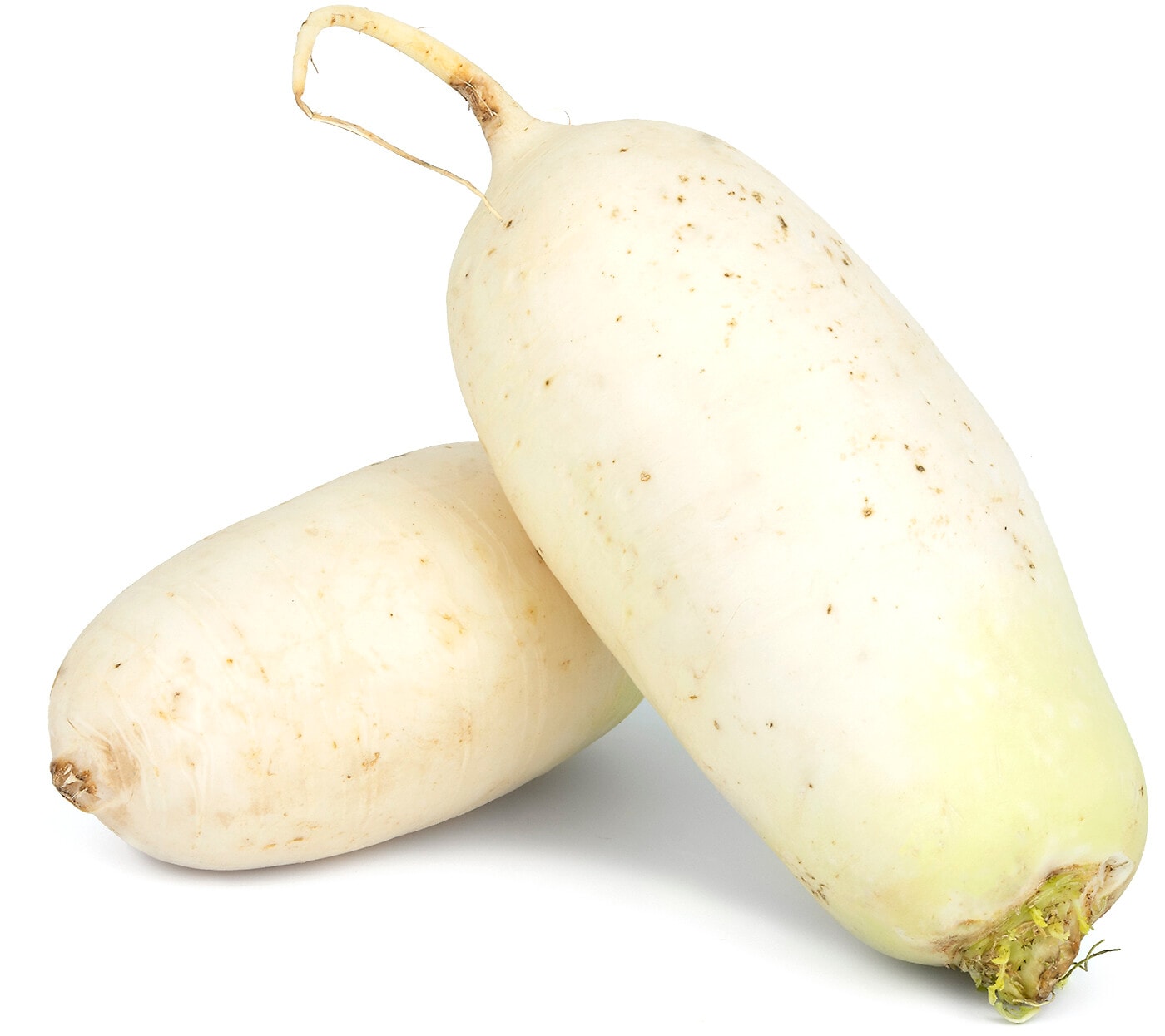 Изображение товара Редис Дайкон 1 кг свежий и хрустящий корнеплод для салатов