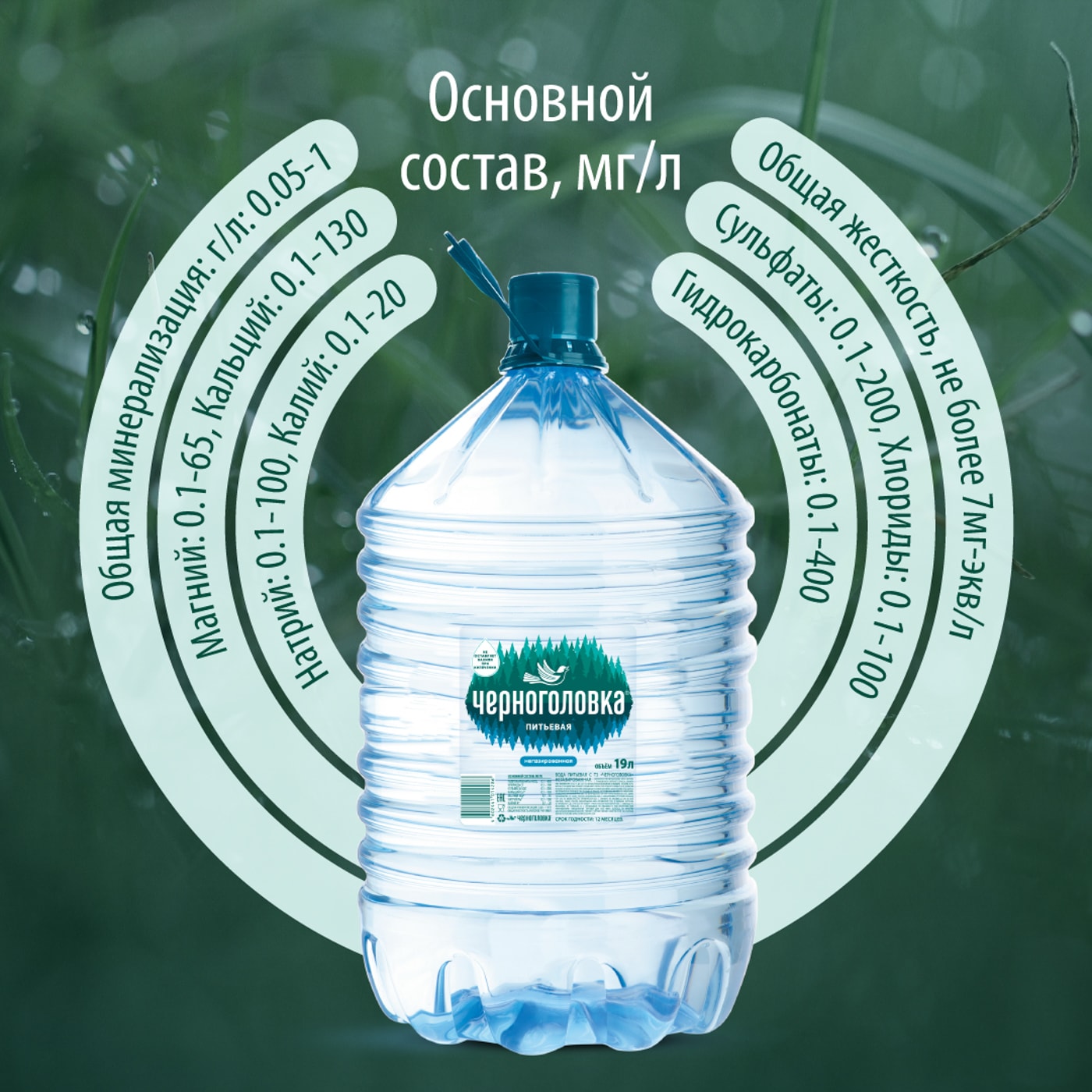 Купить Черноголовскую Воду 19 Литров
