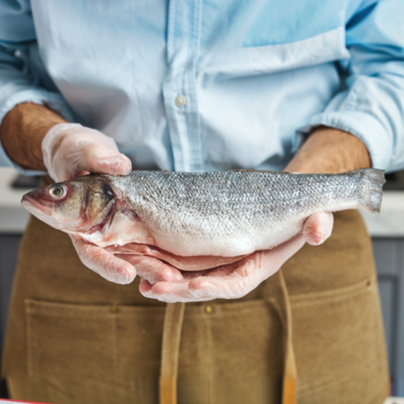 Изображение товара Охлажденная потрошеная тушка сибаса 310-510г шоковая заморозка