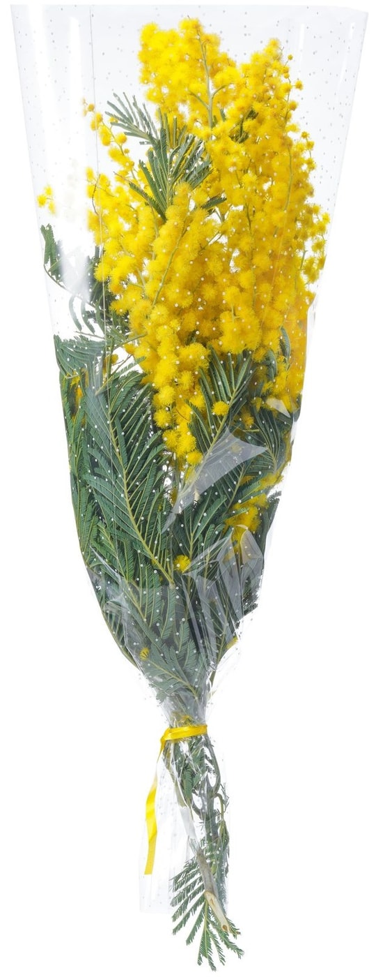 Изображение товара Ветка мимозы 1шт