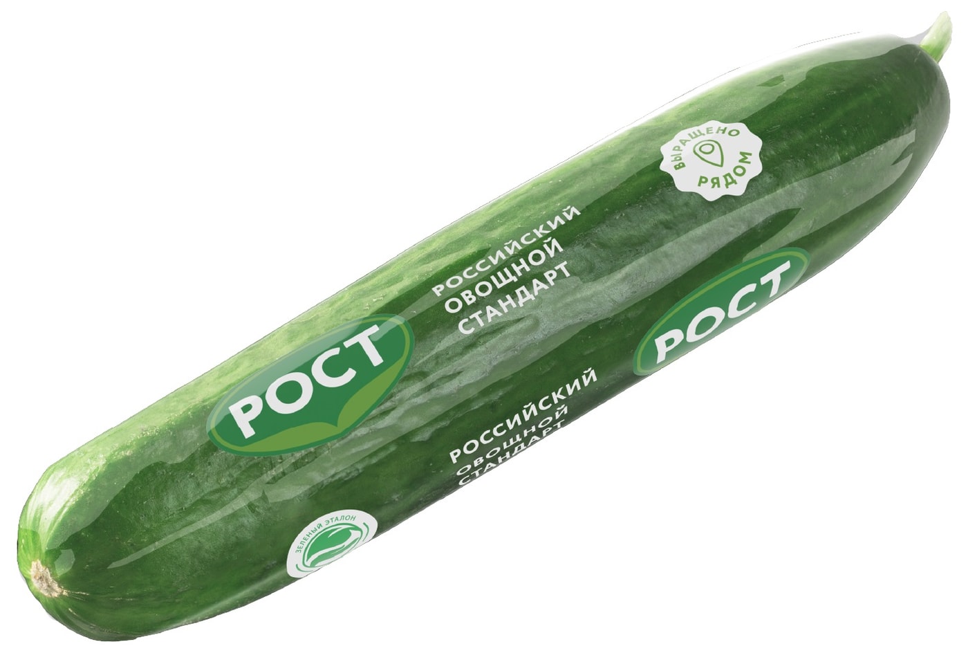 Изображение товара Огурцы гладкие длинноплодные 1шт - свежие и полезные овощи