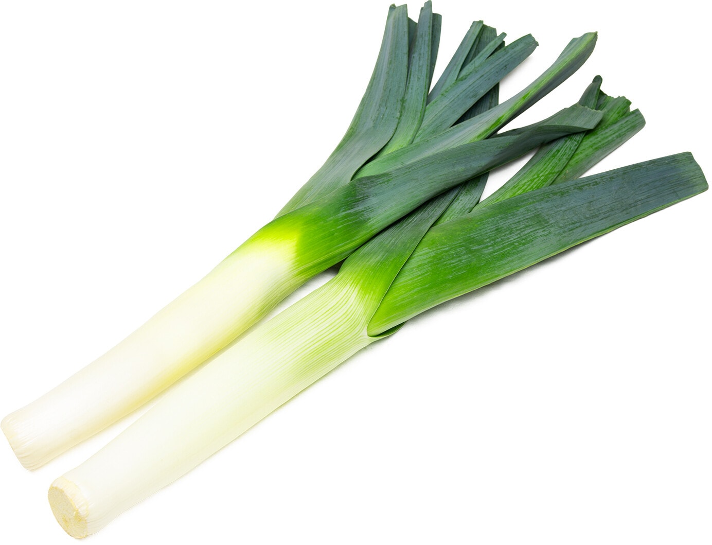 Изображение товара Свежий лук-порей 1кг - натуральный и полезный продукт для ваших блюд