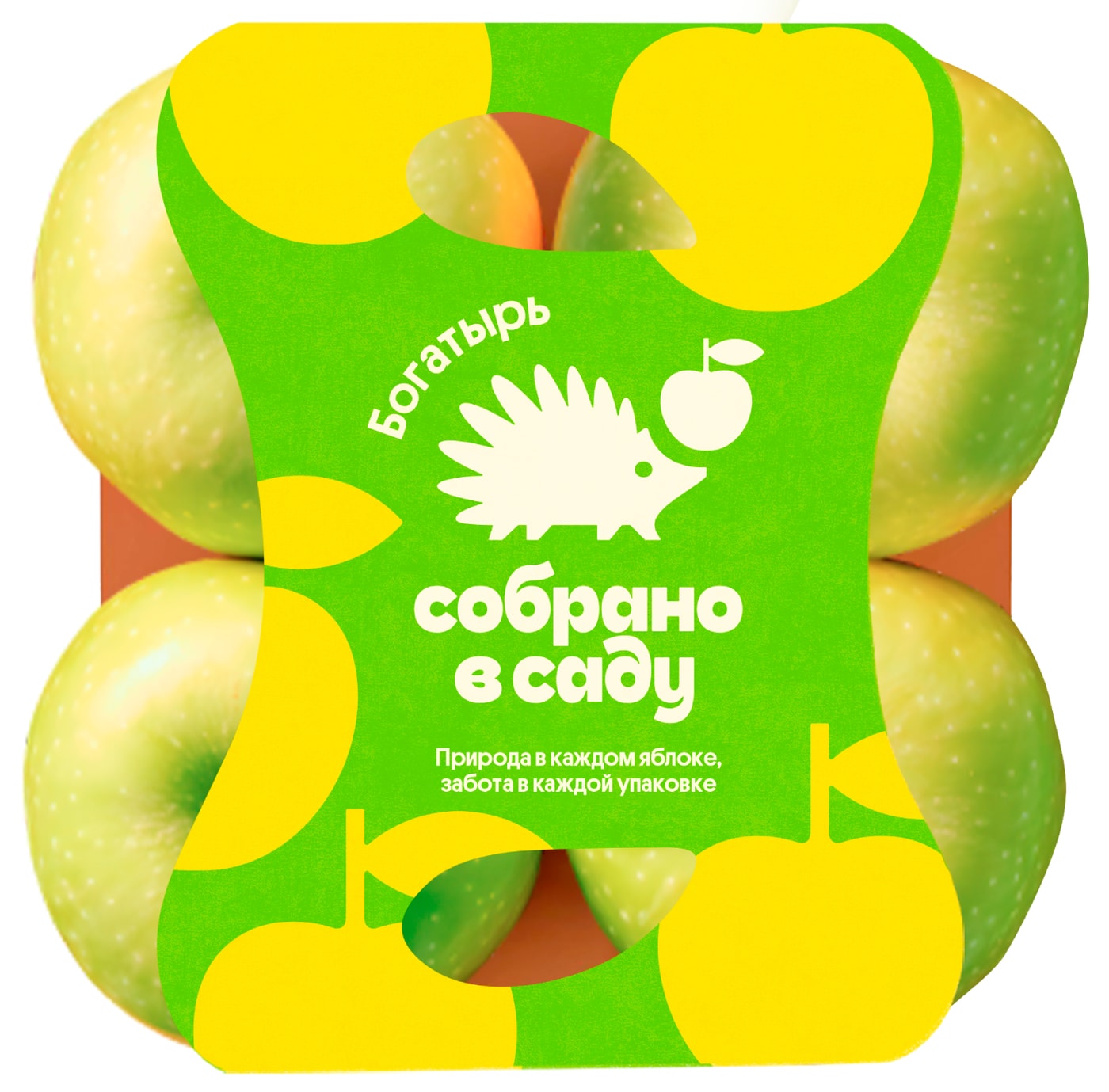 Изображение товара Яблоки Собрано в саду Богатырь 4 шт свежие и сочные из России