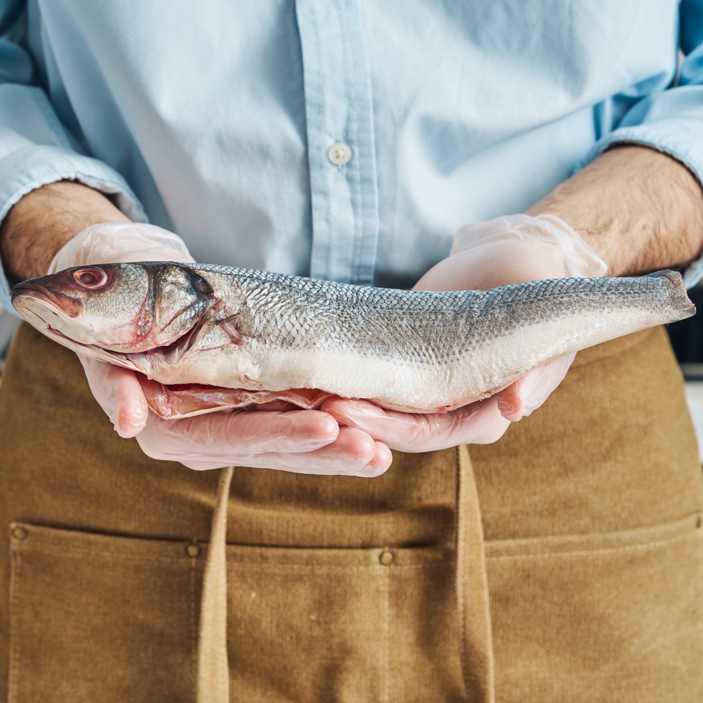 Изображение товара Сибас тушка охлажденная потрошеная 320-520г - свежая рыба