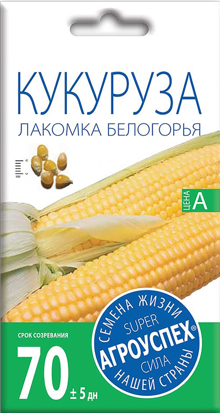 Изображение товара Семена Агроуспех Кукуруза Лакомка Белогорья 5г