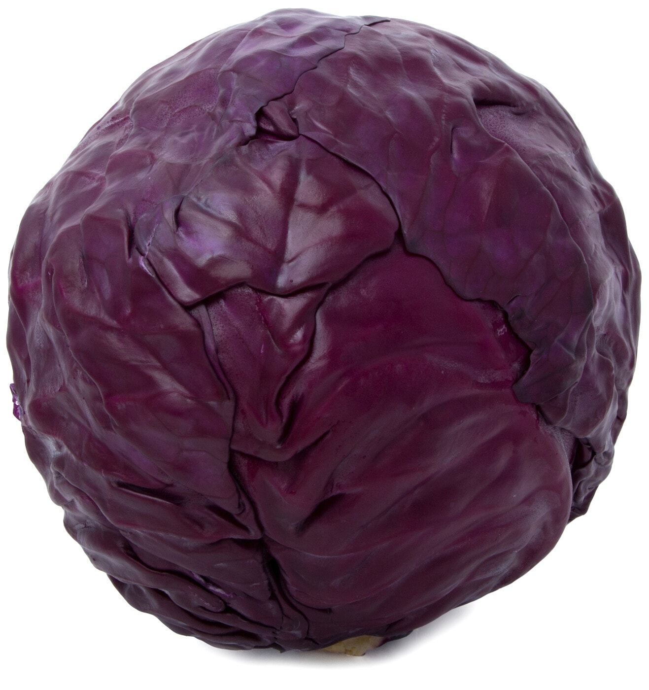 Изображение товара Кочан краснокочанной капусты 1.1-1.8 кг Россия