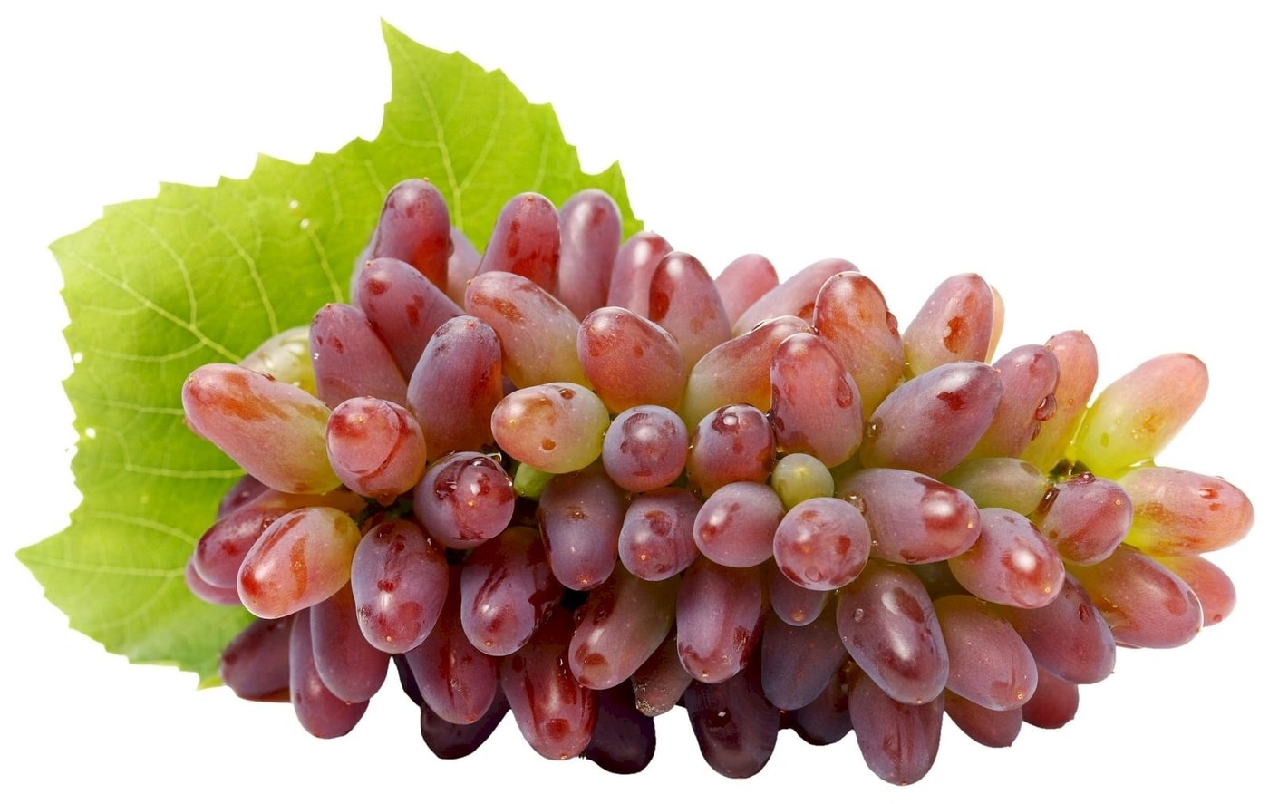 Изображение товара Виноград Дамский пальчик розовый 500г - сочный и вкусный сорт для любого стола