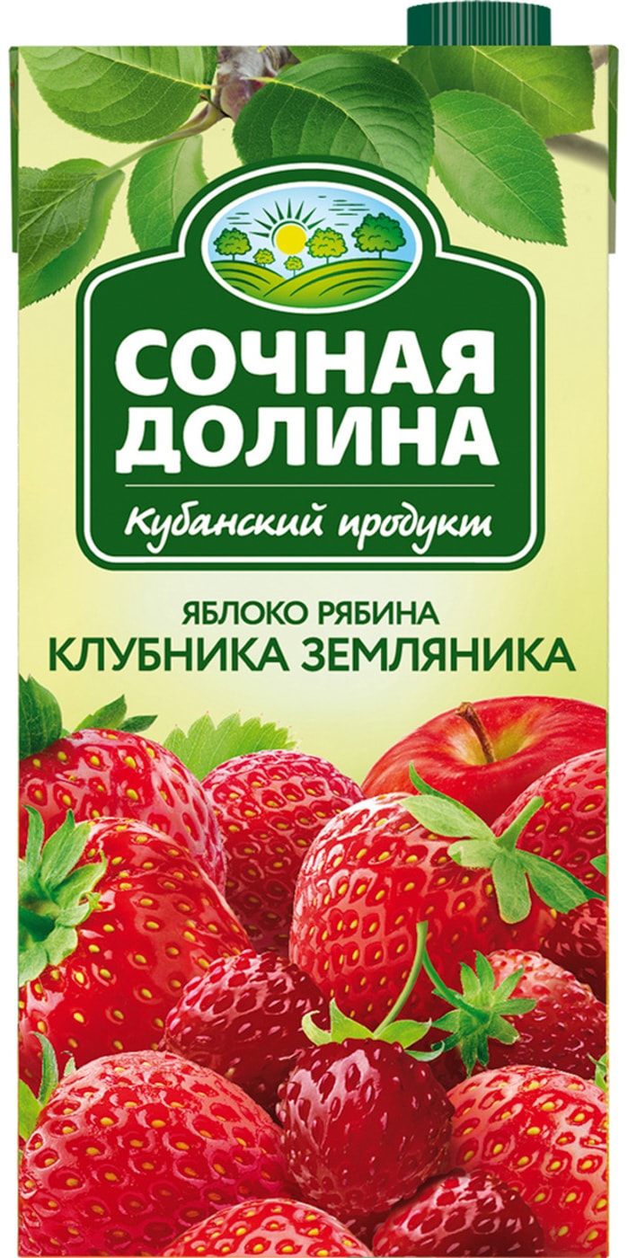 Изображение товара Напиток сокосодержащий Сочная Долина Яблоко-Рябина-Клубника-Земляника 1.93л
