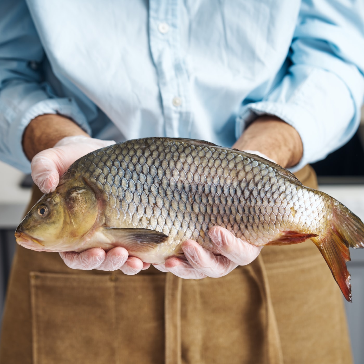 Изображение товара Карп охлажденный тушка неразделанный 1-3 кг - свежая рыба для домашнего приготовления