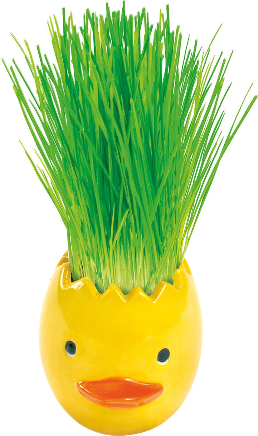 Изображение товара Набор пасхальный Домашняя кухня Пшеничка из яичка Сделай сам