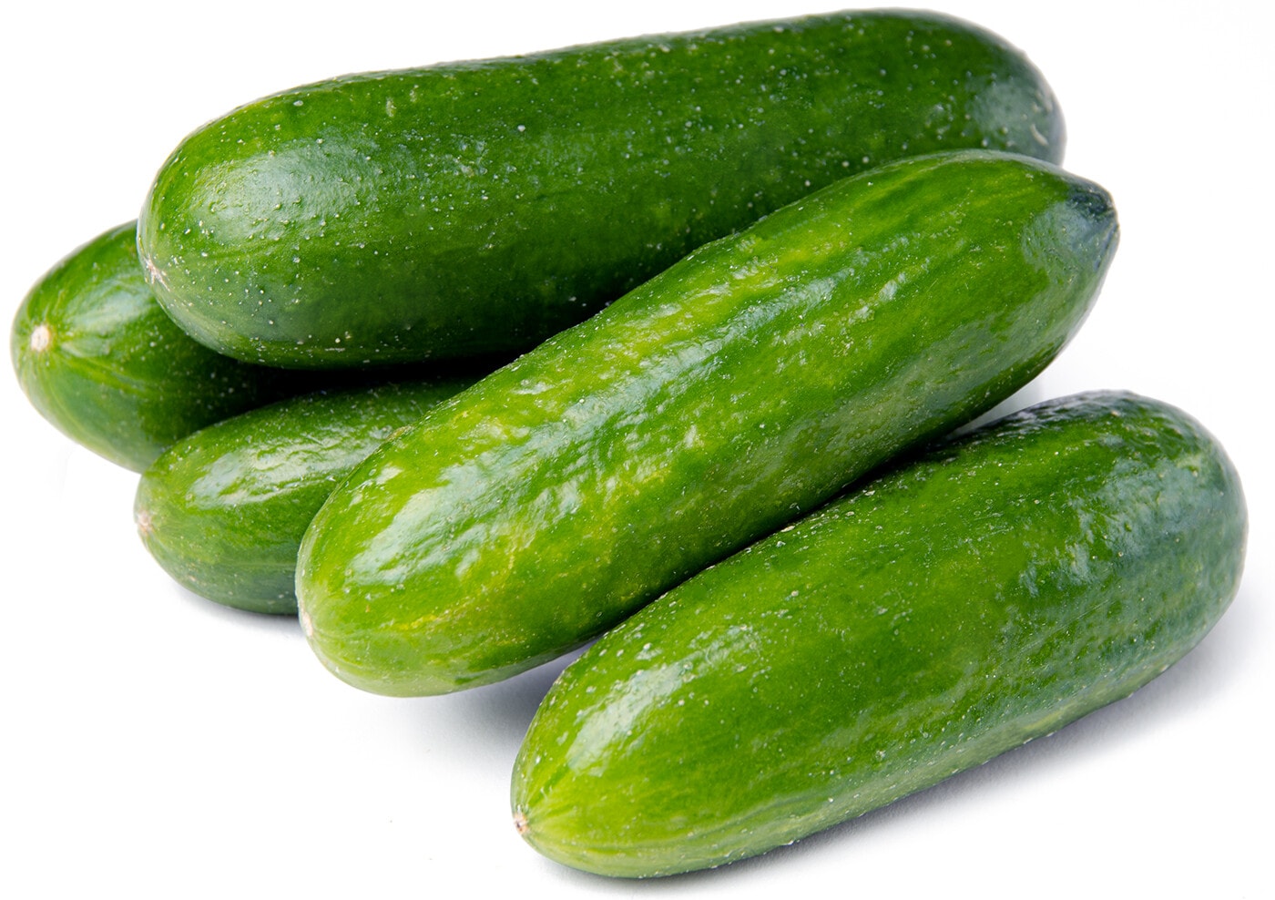 Изображение товара Огурцы Бакинские короткоплодные 300г упаковка свежие вкусные