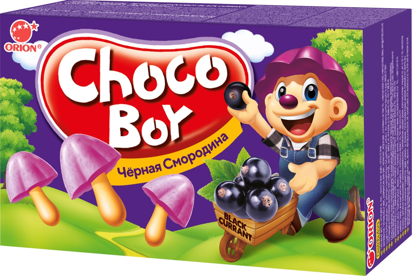 Изображение товара Печенье Orion Черная смородина 45г