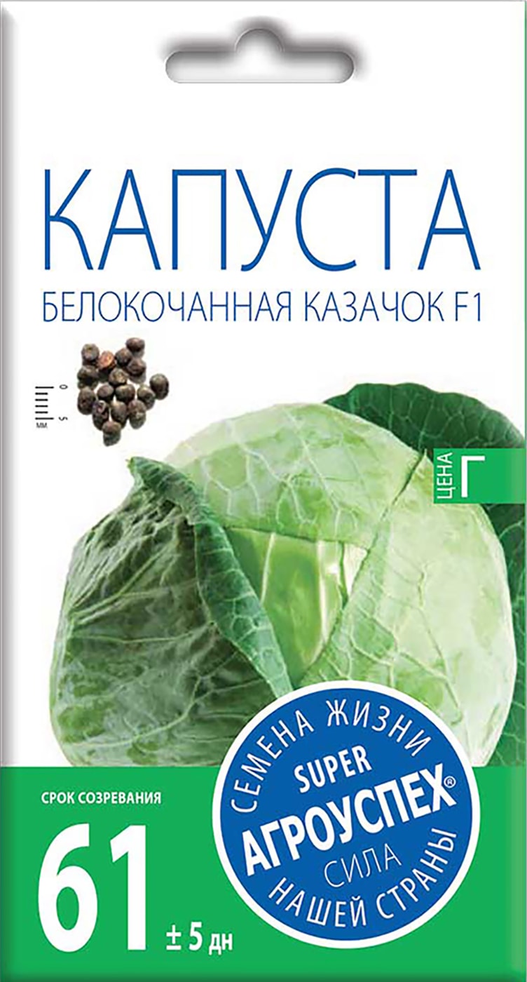 Изображение товара Семена Агроуспех Капуста белокочанная Казачок 0.25г