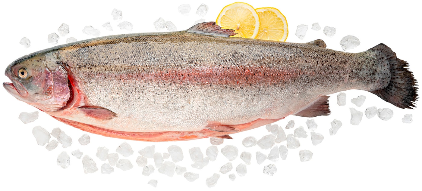 Изображение товара Форель радужная потрошеная 1-2кг