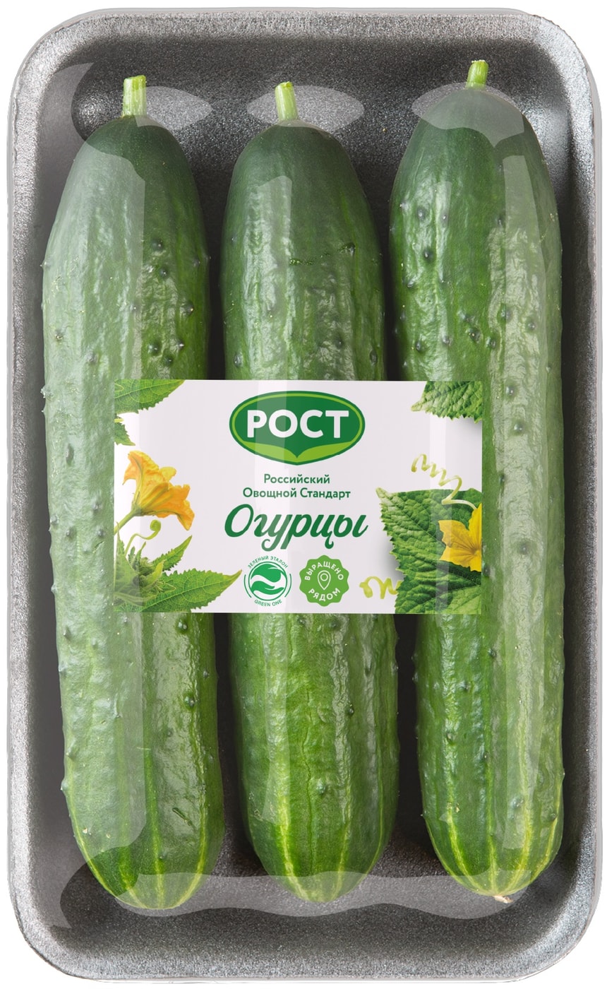 Изображение товара Свежие среднеплодные огурцы 600г упаковка Россия низкокалорийный овощ