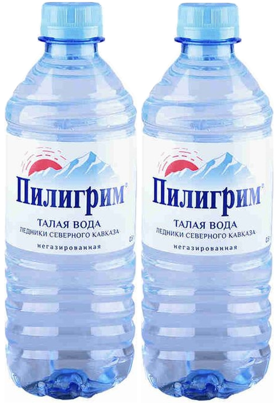 Изображение товара Вода Пилигрим питьевая негазированная 250мл Пластиковая бутылка Россия