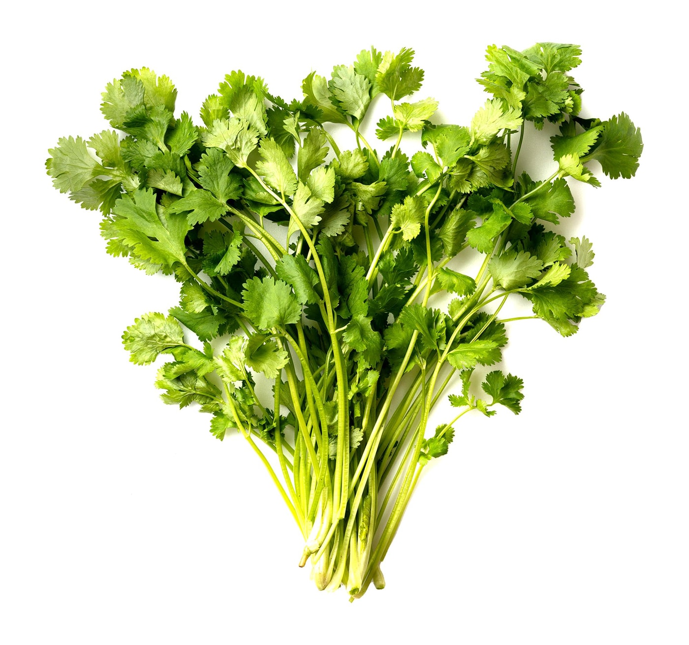 Изображение товара Кинза Маркет Fresh 30г