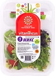 Салатный ростковый микс Vitamincus Микс 1 100г