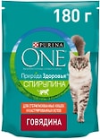 Сухой корм для кошек Purina ONE с высоким содержаниемговядины 180г Сухой корм для кошек Purina ONE с высоким содержаниемговядины 180г