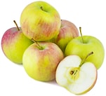 Яблоки сортовые Агроном сад 6шт