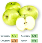 Яблоки Симиренко