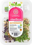 Салатный ростковый микс Vitamincus Фитоняшка 100г