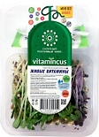 Салатный ростковый микс Vitamincus Живые витамины 100г
