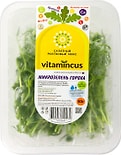 Микрозелень гороха Vitamincus 50г