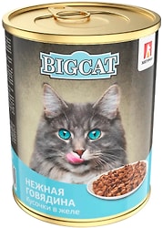 Влажный корм для кошек Зоогурман Big Cat с говядиной 350г