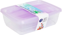 Набор контейнеров Violet Fresco Лаванда 3в1 500+1000+1750мл